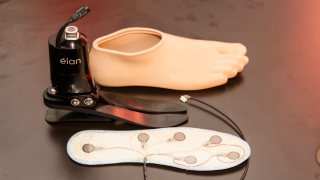Illustration for article titled Here's the First Artificial Leg That Can Feel